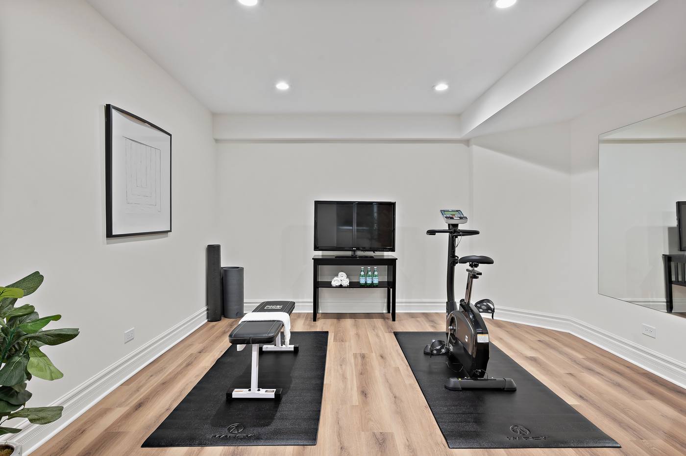 Lower-level exercise room with mirrored wall