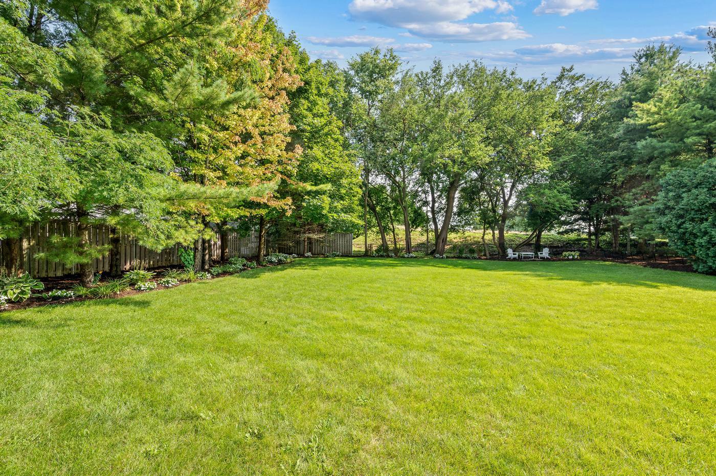 Rear yard — open lawn running to the wooded rise at the Westmoreland boundary